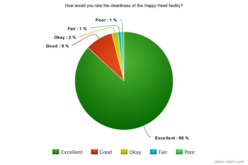 95% of respondents rated it as excellent or good.