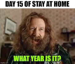 A meme depicting Robin Williams with a wild beard and hair, a scene from the movie 'Jumanji,' captioned 'Day 15 of Stay at Home - What year is it?' The meme humorously references the disorienting effects of extended lockdowns during the COVID-19 pandemic.